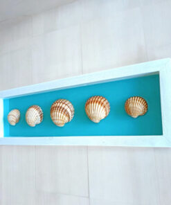 In a 5 cm thick wooden frame with shells