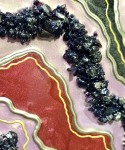 the contour colors on the artwork
